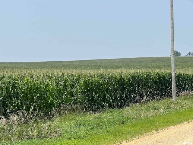 0 140th Avenue, Donahue, IA 52746 0 140th Avenue, Donahue, IA 52746