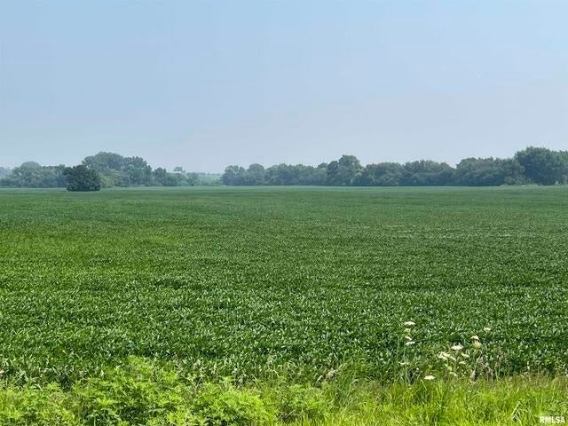 0 140th Avenue, Donahue, IA 52746 0 140th Avenue, Donahue, IA 52746