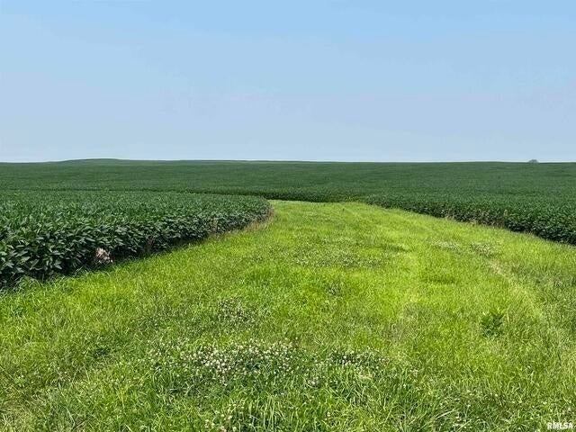0 140th Avenue, Donahue, IA 52746 0 140th Avenue, Donahue, IA 52746