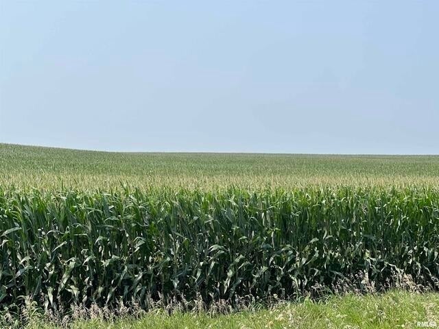 0 140th Avenue, Donahue, IA 52746 0 140th Avenue, Donahue, IA 52746