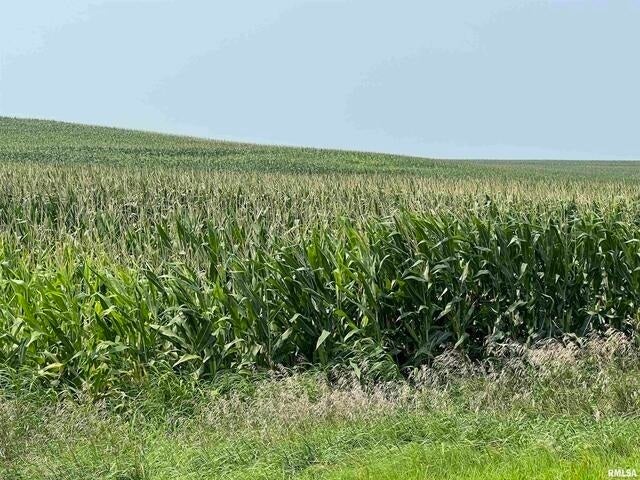 0 140th Avenue, Donahue, IA 52746 0 140th Avenue, Donahue, IA 52746