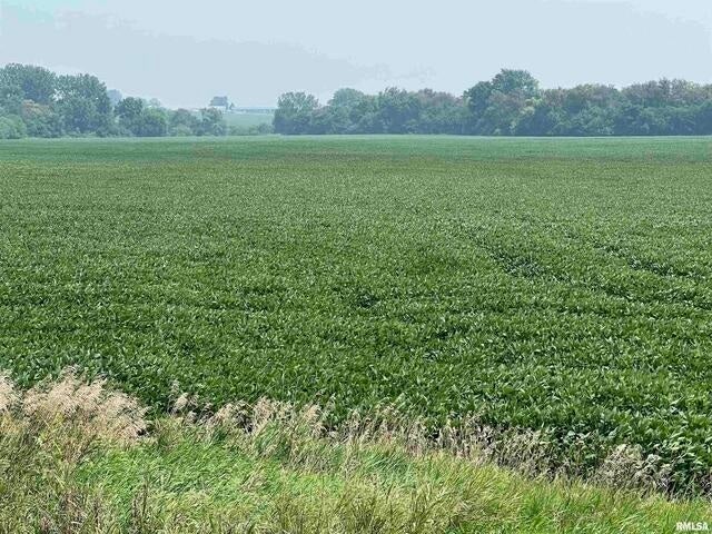 0 140th Avenue, Donahue, IA 52746 0 140th Avenue, Donahue, IA 52746