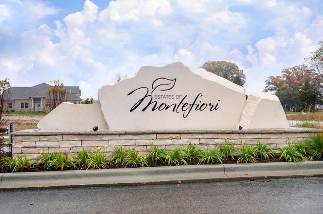 11198 Tuscany Lane, Lemont, IL 60439