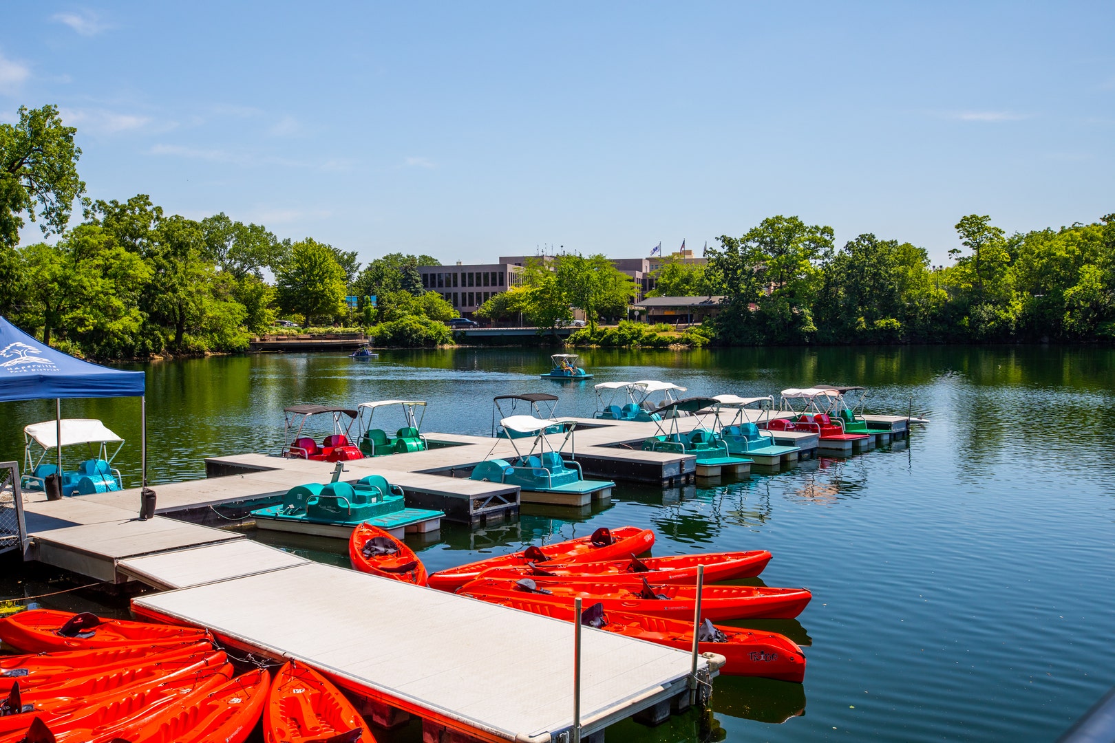 36 Golden Larch Court, Naperville, IL 60540 36 Golden Larch Court, Naperville, IL 60540