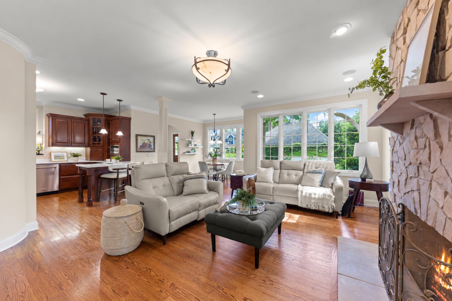 706 N Ellsworth Street, Naperville, IL 60563