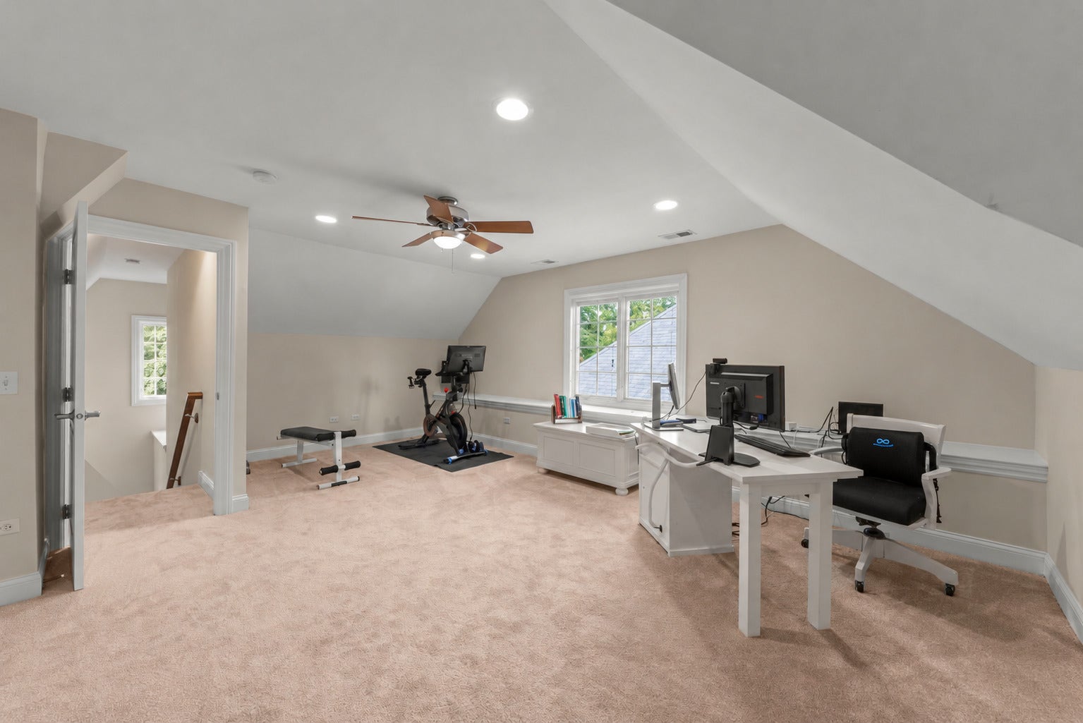 706 N Ellsworth Street, Naperville, IL 60563