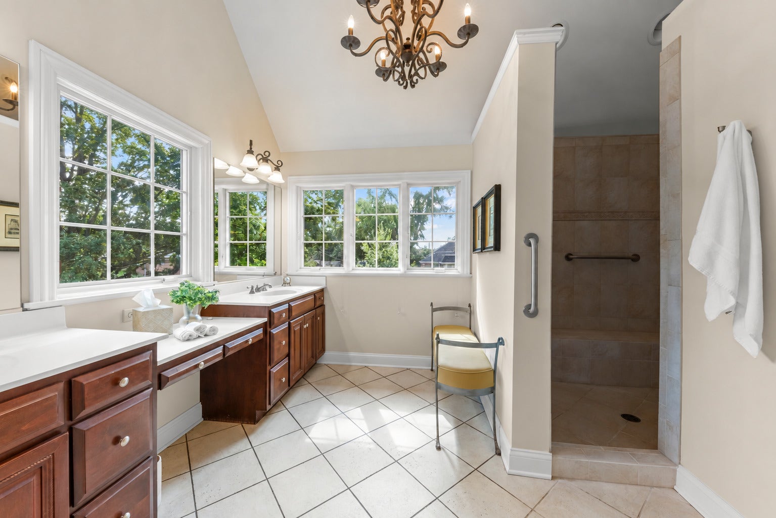 706 N Ellsworth Street, Naperville, IL 60563