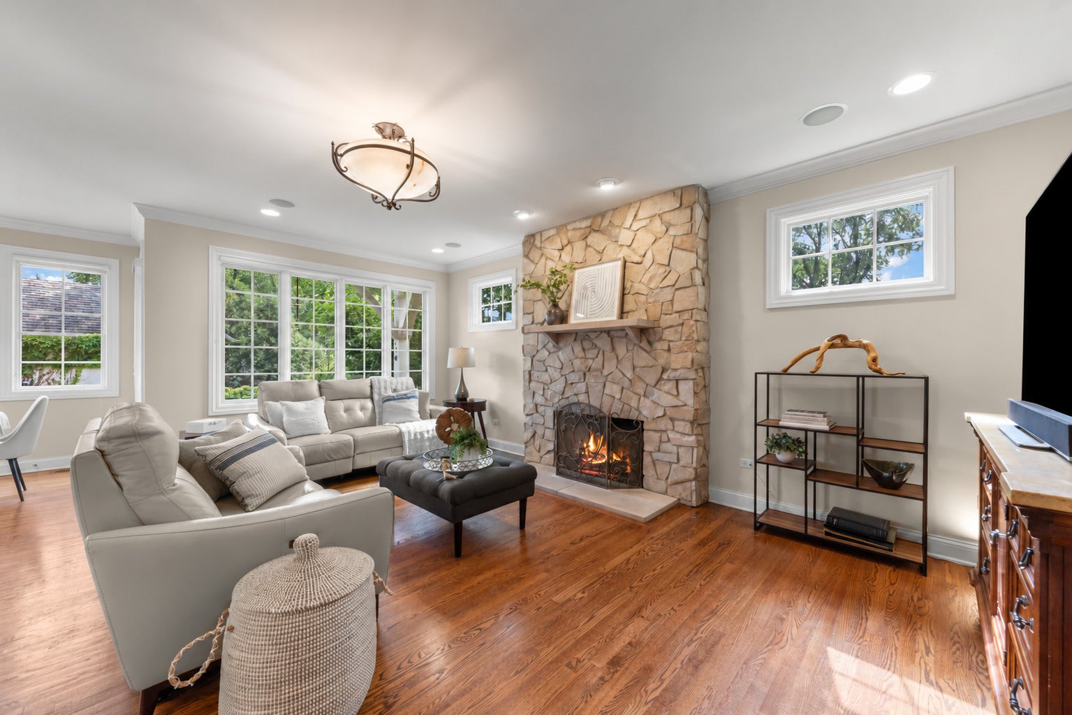 706 N Ellsworth Street, Naperville, IL 60563