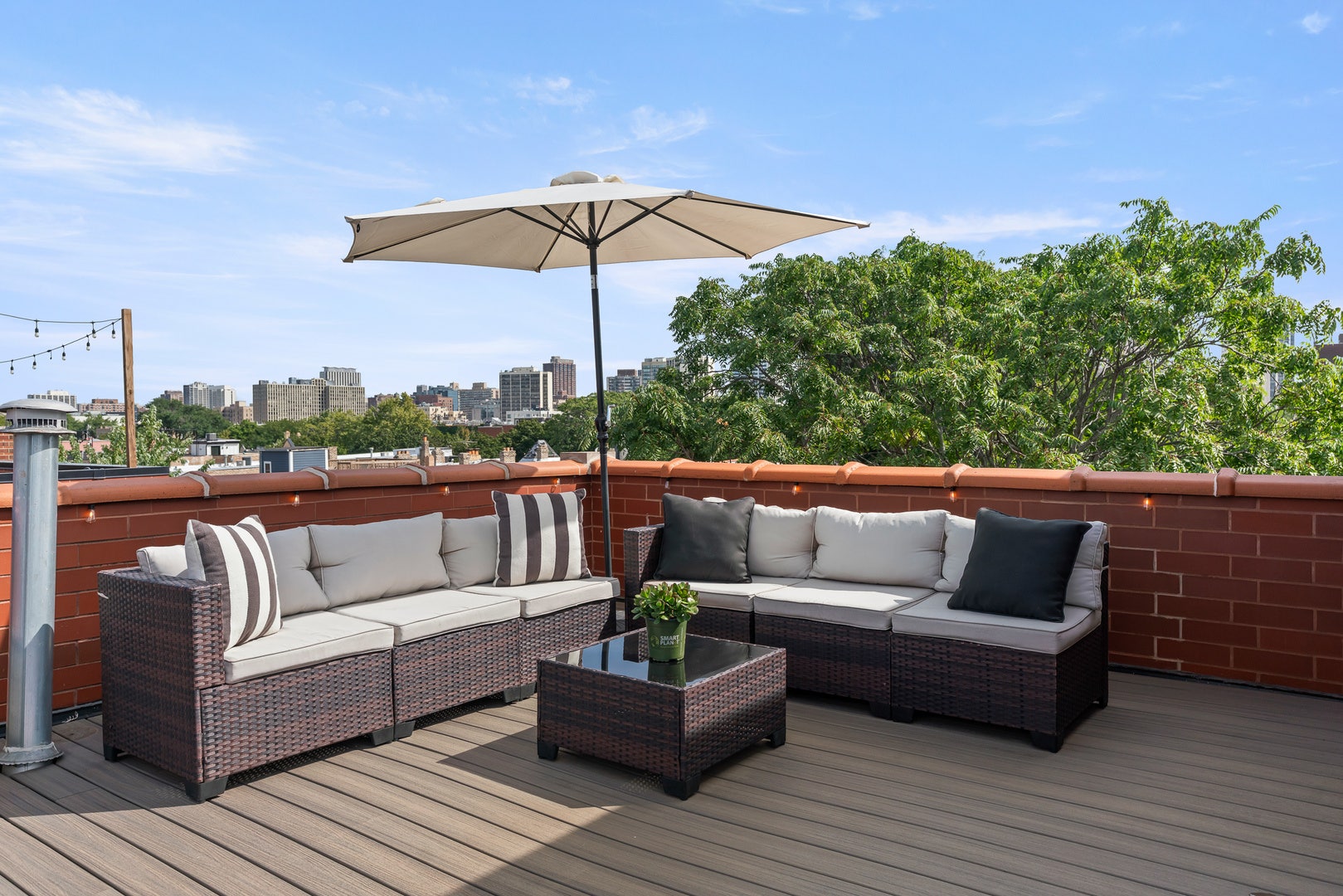 2507 N Halsted Street, #4, Chicago, IL 60614 Private Rooftop