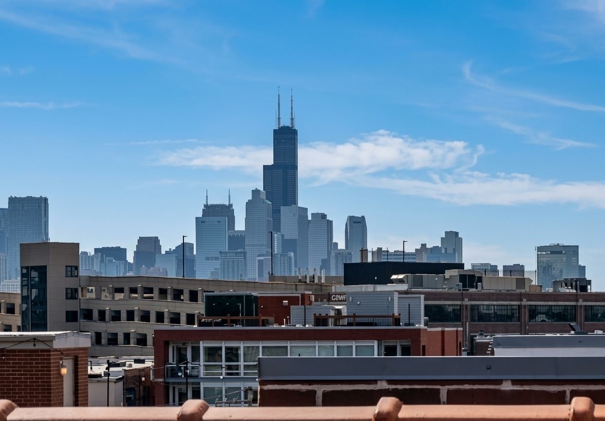 2507 N Halsted Street, #4, Chicago, IL 60614 Rooftop View