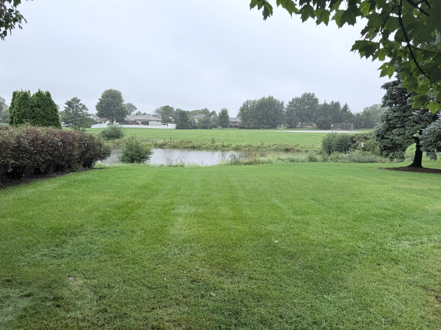 EXPANSIVE BACK YARD