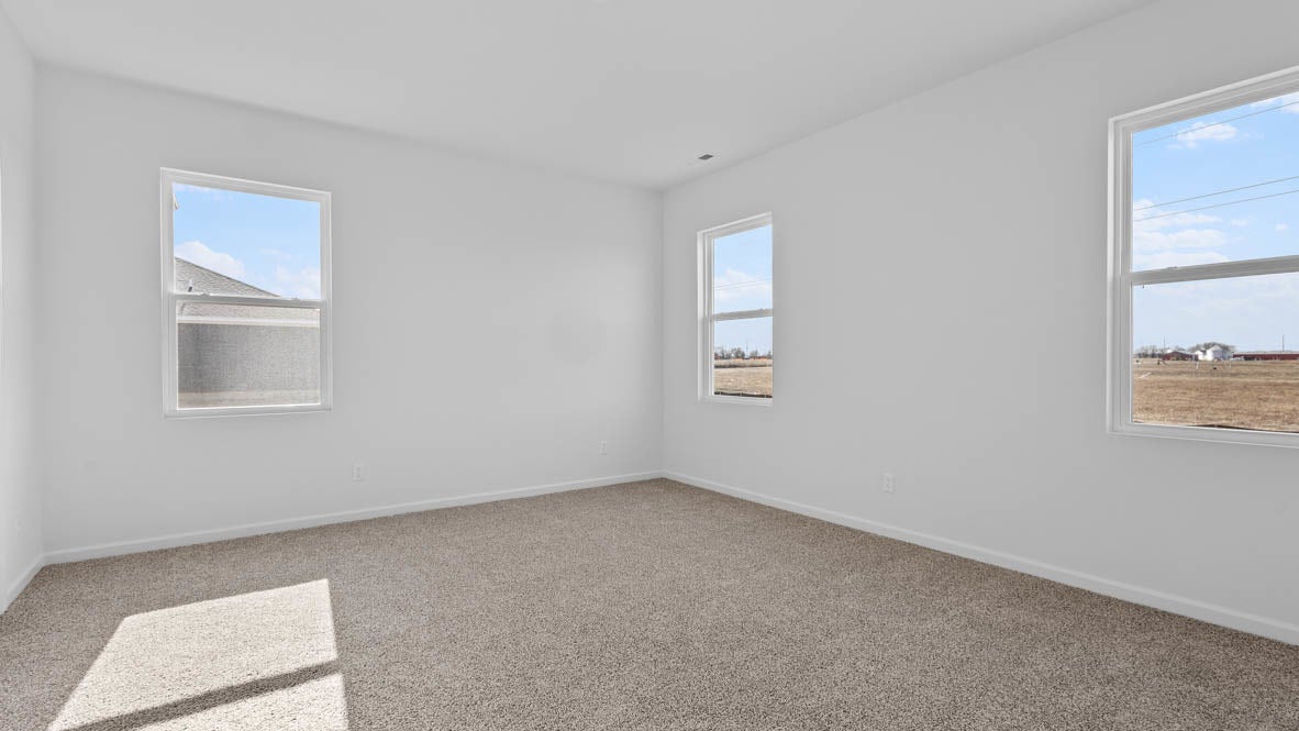 17206 Donegal Street, Tinley Park, IL 60477