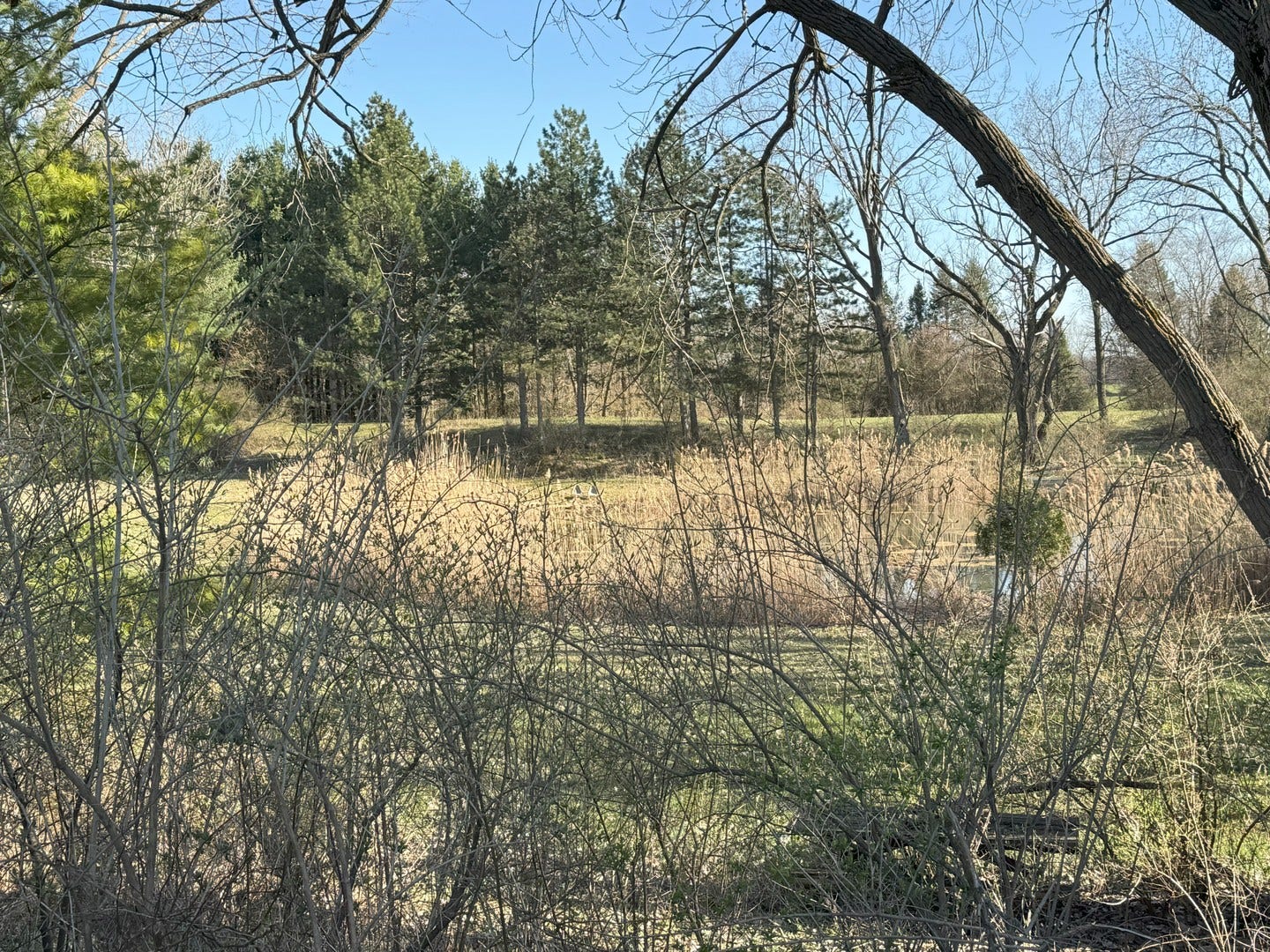 Hampshire, IL 60140