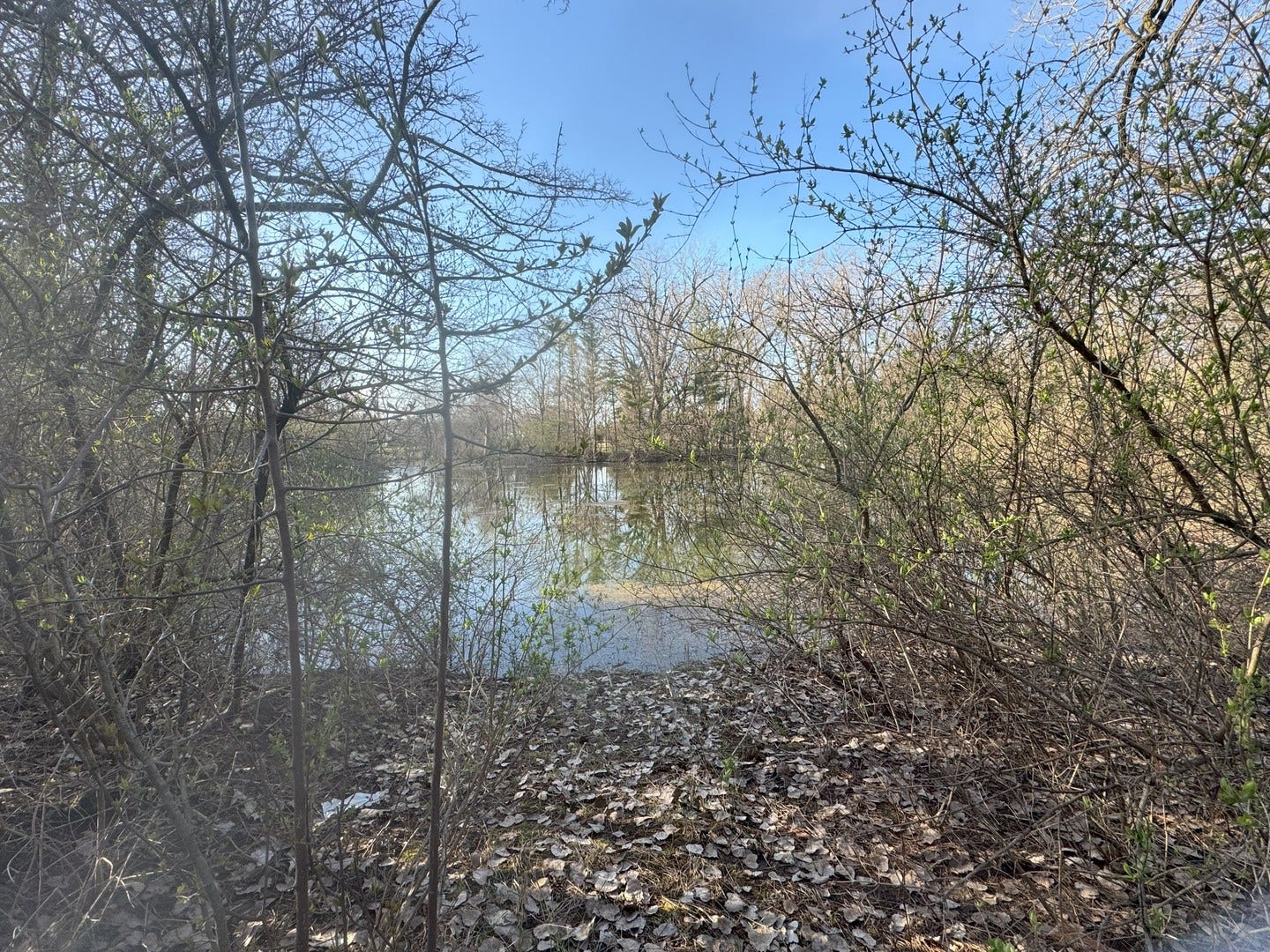 Hampshire, IL 60140