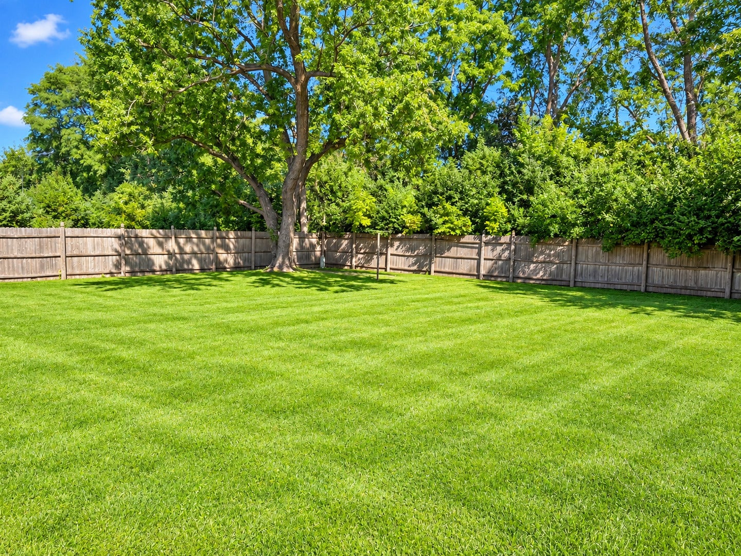 1004 Magnolia Drive, Joliet, IL 60435 1004 Magnolia Drive, Joliet, IL 60435