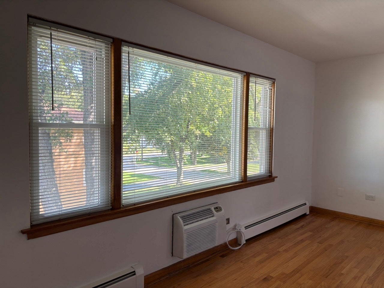 16 2ND Street, #F, Downers Grove, IL 60515 Living rm