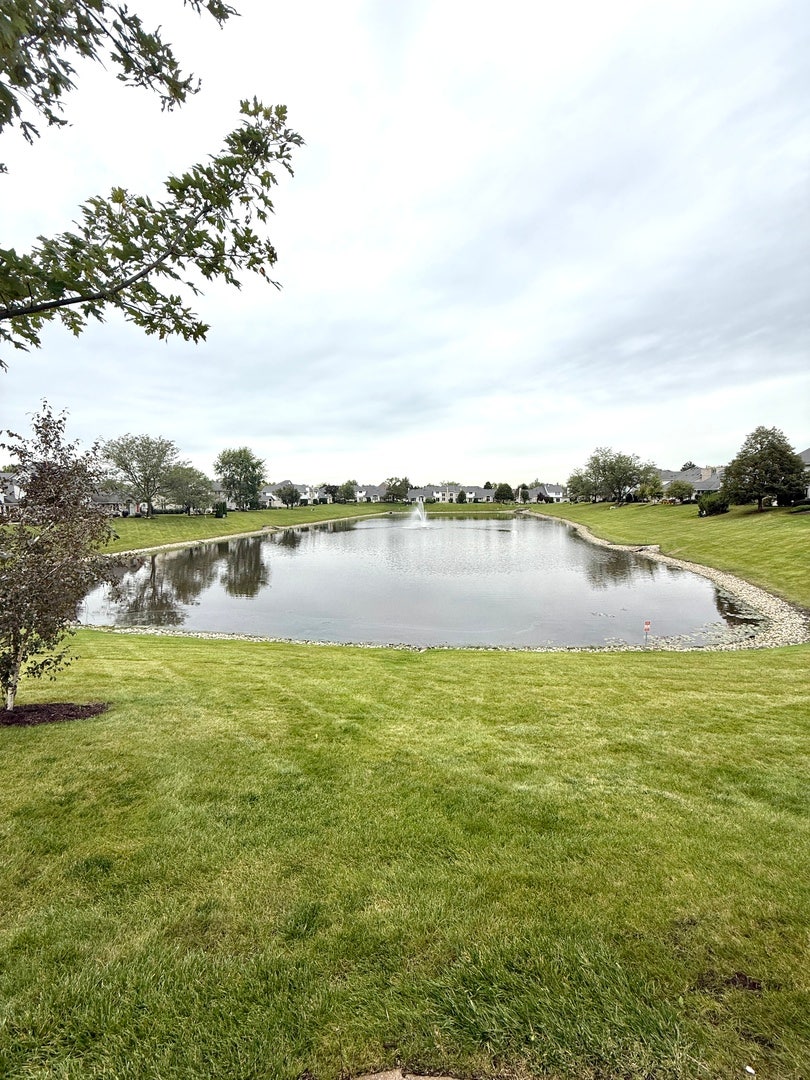 8821 Bluebird Drive, Tinley Park, IL 60487 8821 Bluebird Drive, Tinley Park, IL 60487