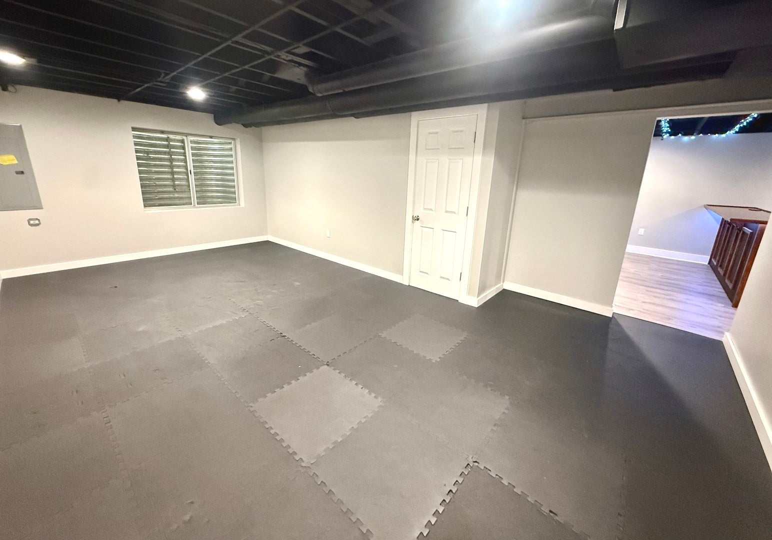 52 Blackberry Trail, Aurora, IL 60506 Great Recreation room or workout space! Finished b