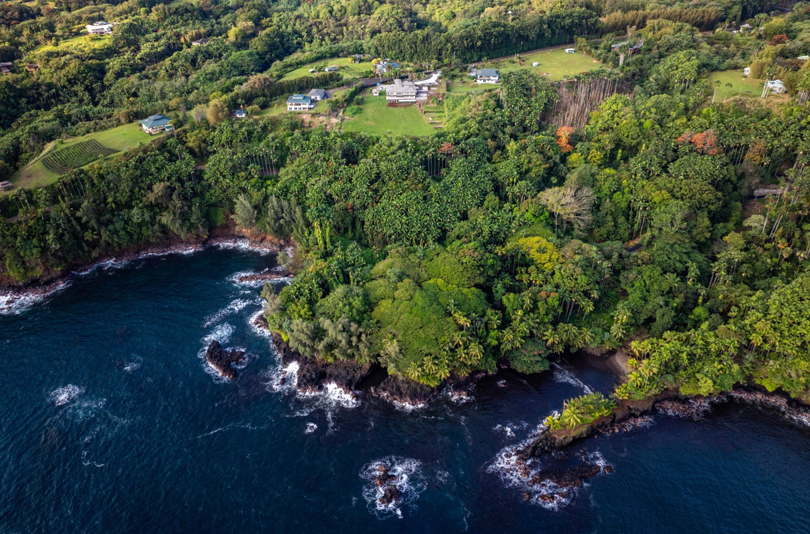27-599 Alakahi Place, Papaikou, HI 96781