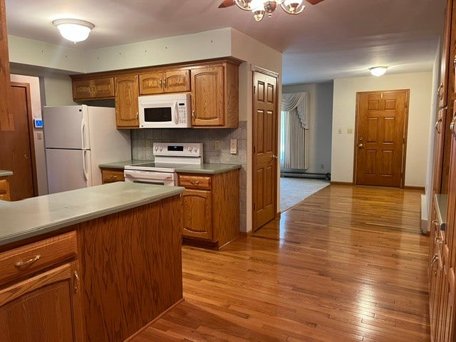 207 Illini Drive, Minooka, IL 60447