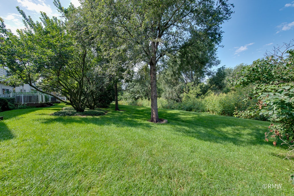 981 Oak Ridge Boulevard, Elgin, IL 60120