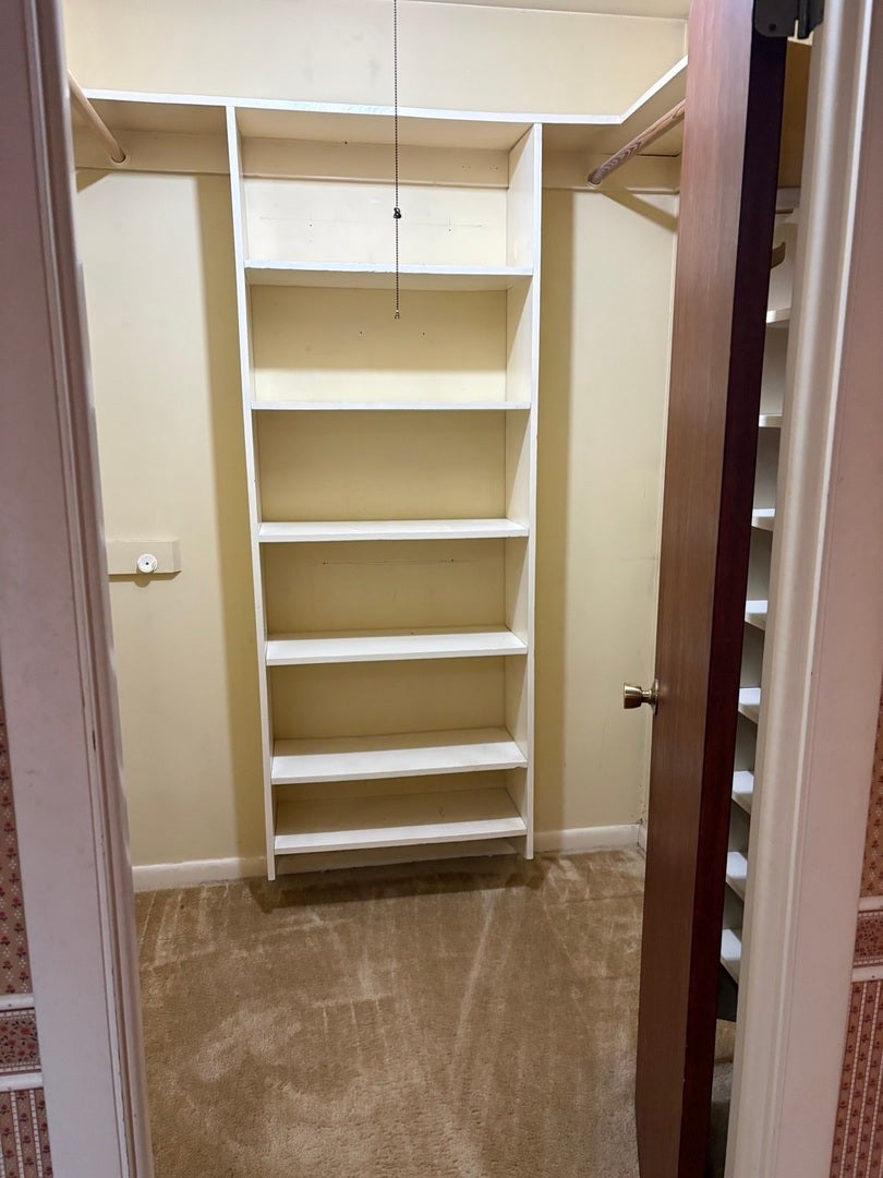 330 Shield Court, Bolingbrook, IL 60440 Walk in closet