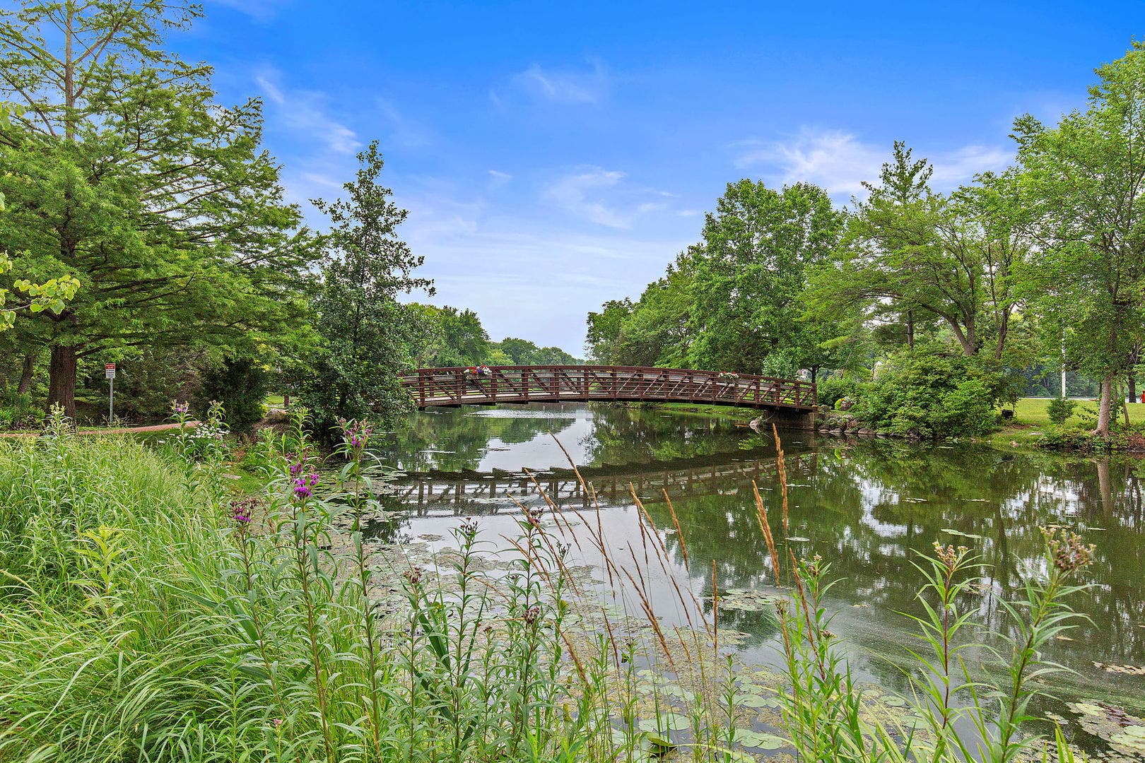 26709 W Leon Drive, Tower Lakes, IL 60010 26709 W Leon Drive, Tower Lakes, IL 60010