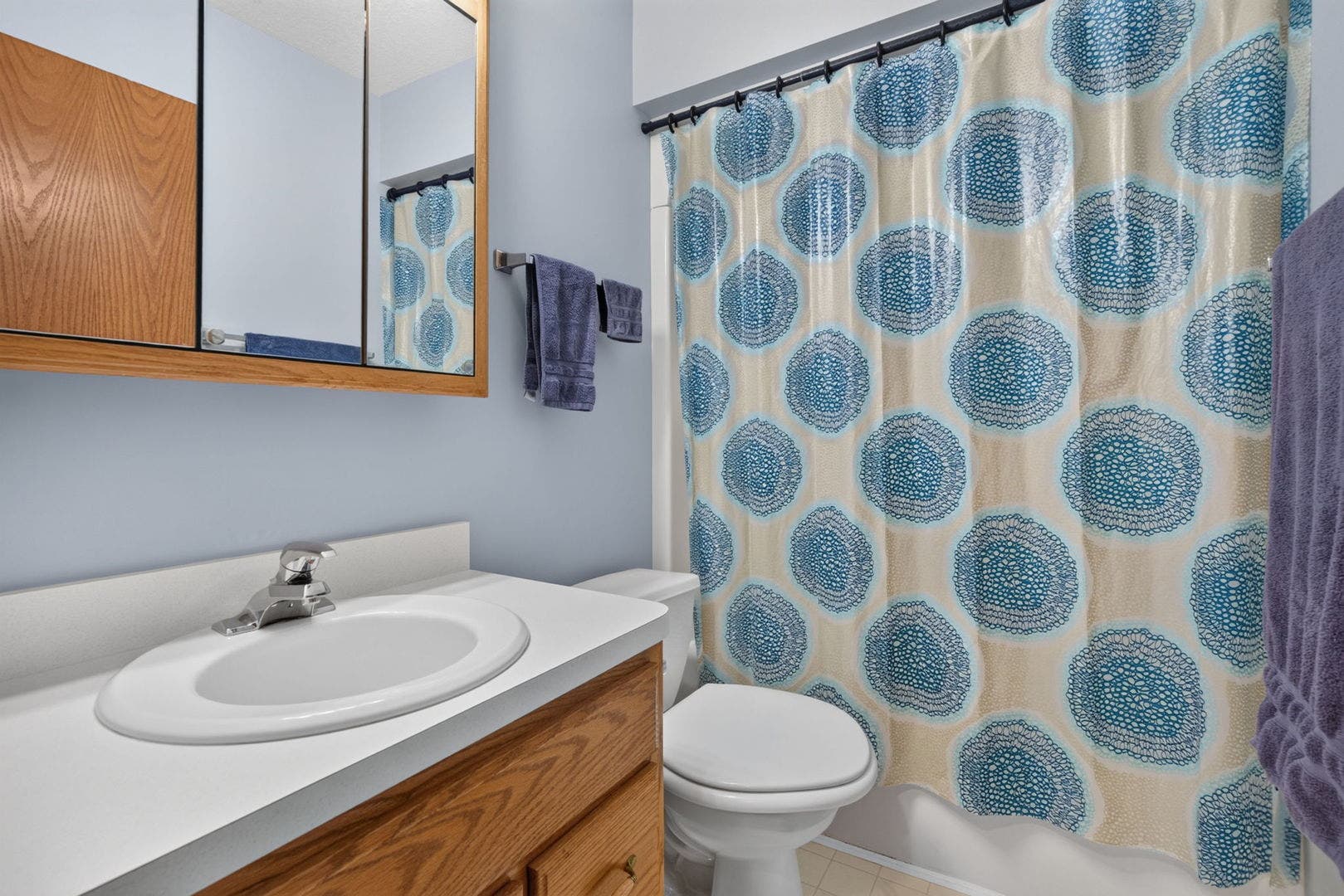 723 O Toole Drive, Minooka, IL 60447 723 O Toole Drive, Minooka, IL 60447