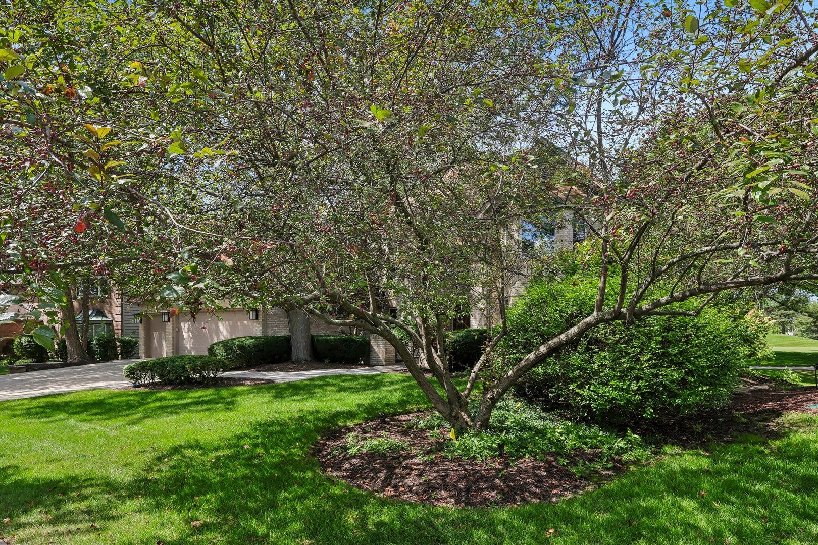 1504 Greenlake Drive, Aurora, IL 60502 1504 Greenlake Drive, Aurora, IL 60502