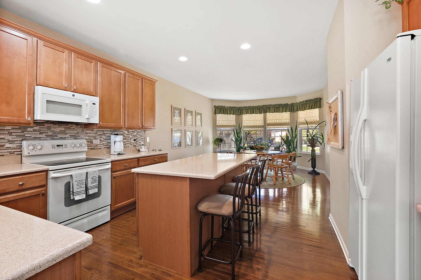 13233 Bundoran Court, Orland Park, IL 60462 13233 Bundoran Court, Orland Park, IL 60462