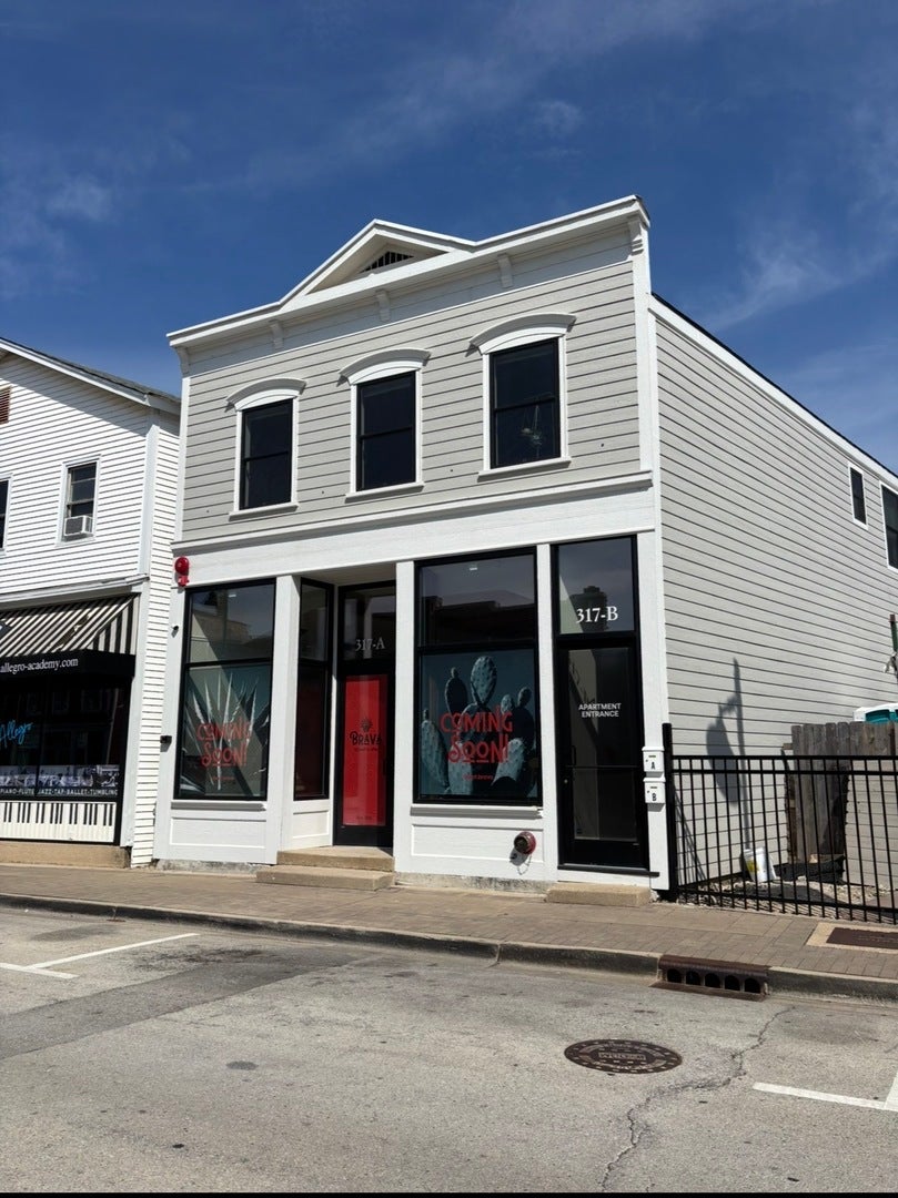317 Canal Street, #B, Lemont, IL 60439