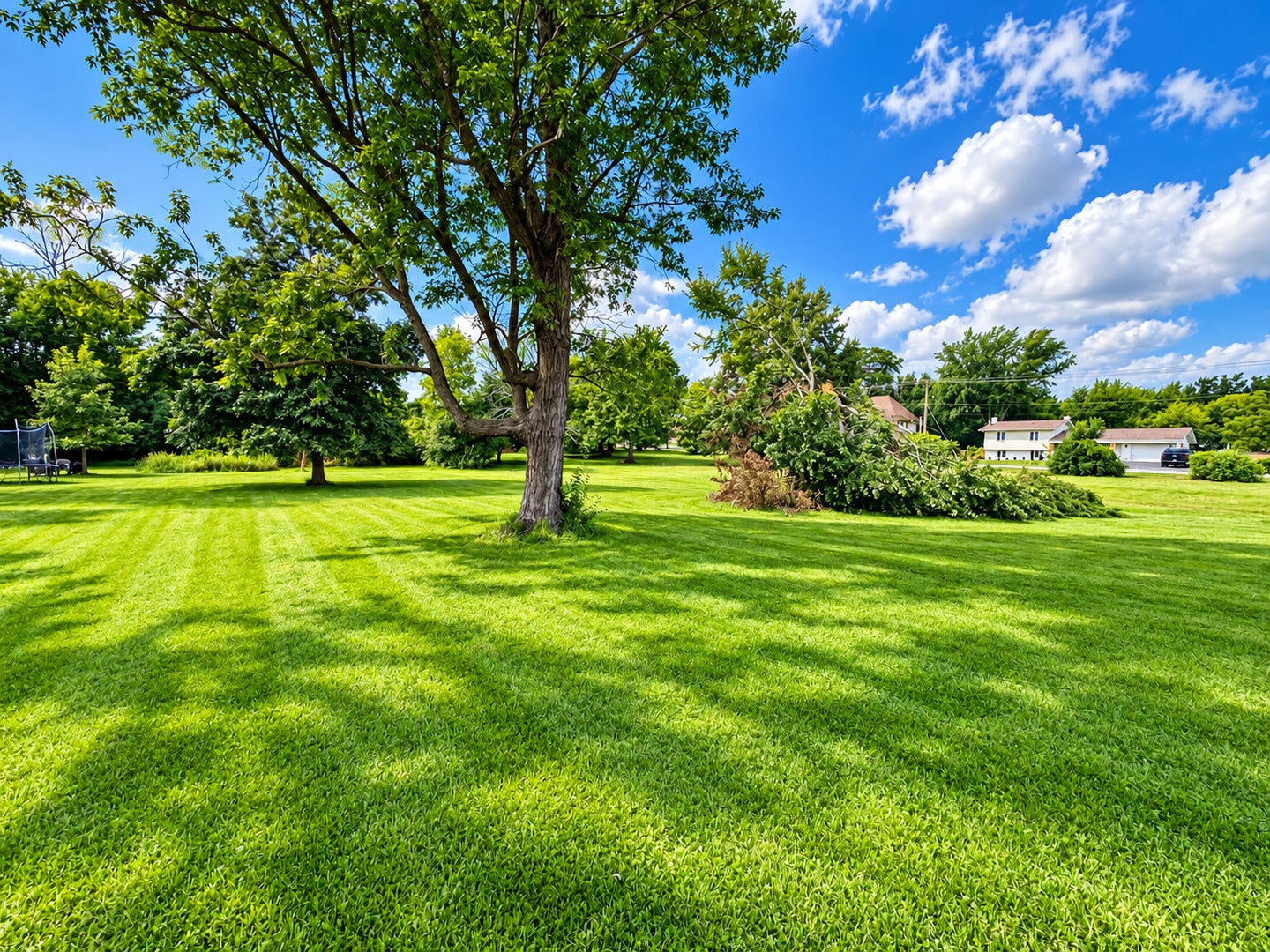 4708 Roslyn Road, Downers Grove, IL 60515