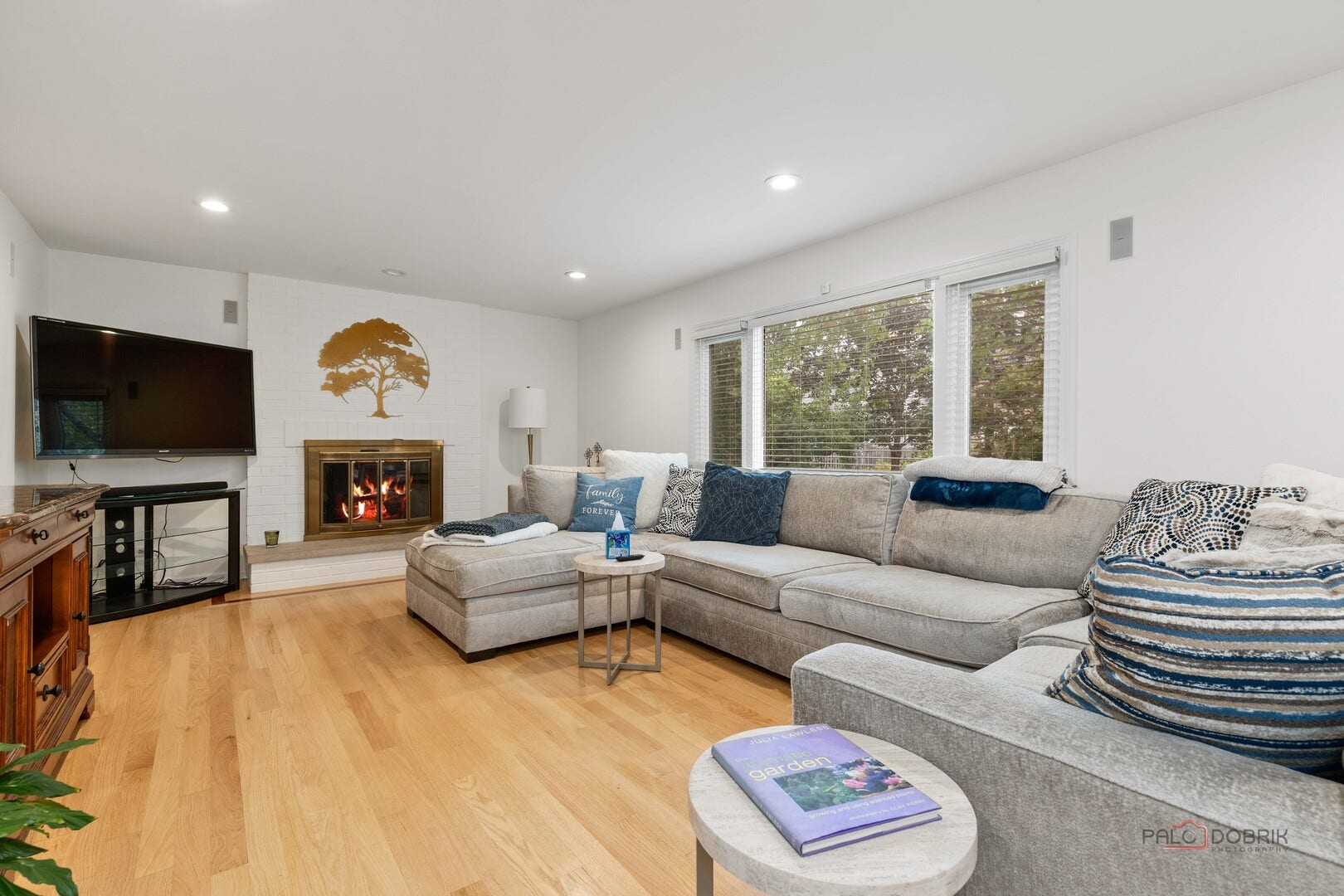 737 Joel Lane, Buffalo Grove, IL 60089 737 Joel Lane, Buffalo Grove, IL 60089