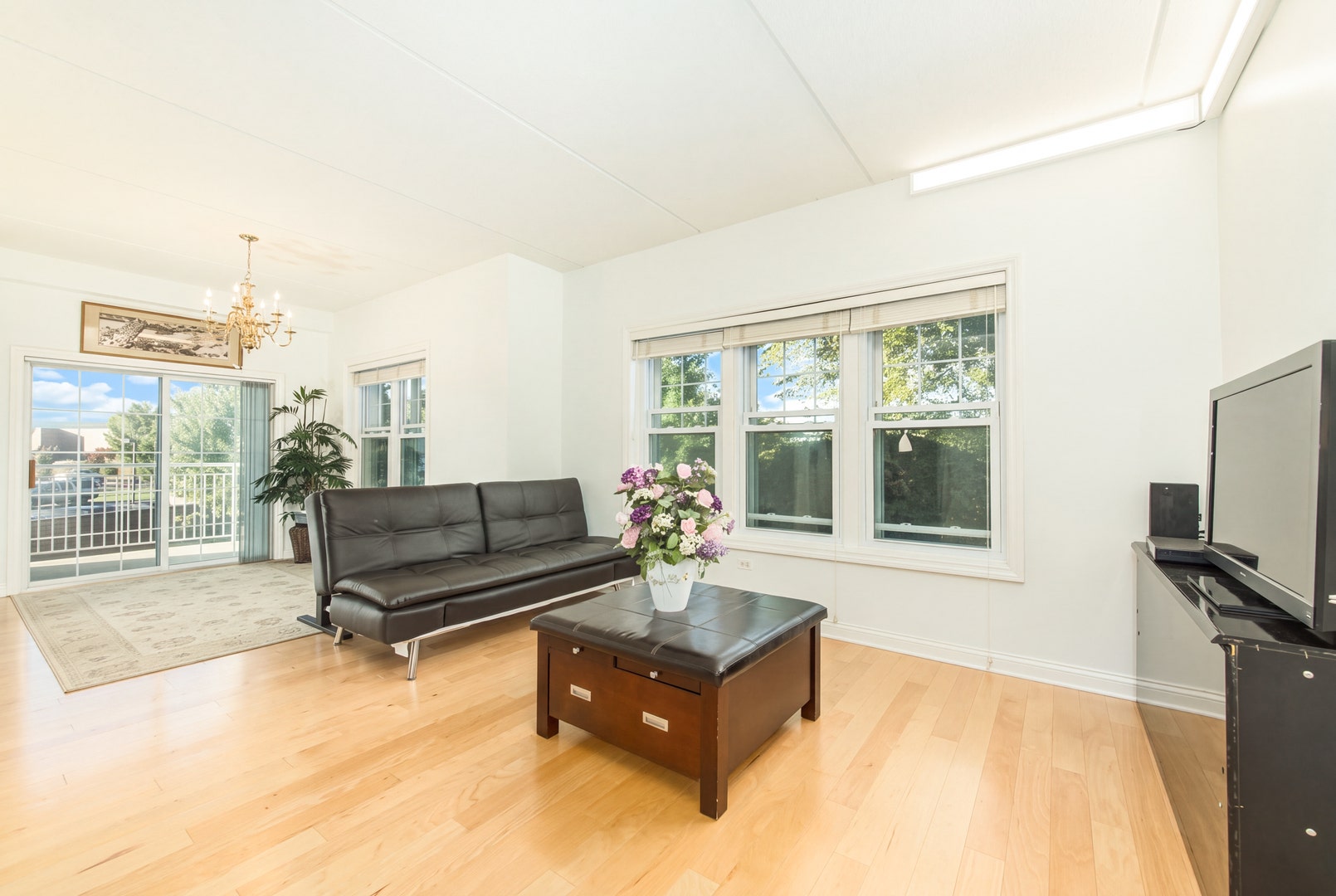 101 Pointe Drive, #103, Northbrook, IL 60062 101 Pointe Drive, #103, Northbrook, IL 60062