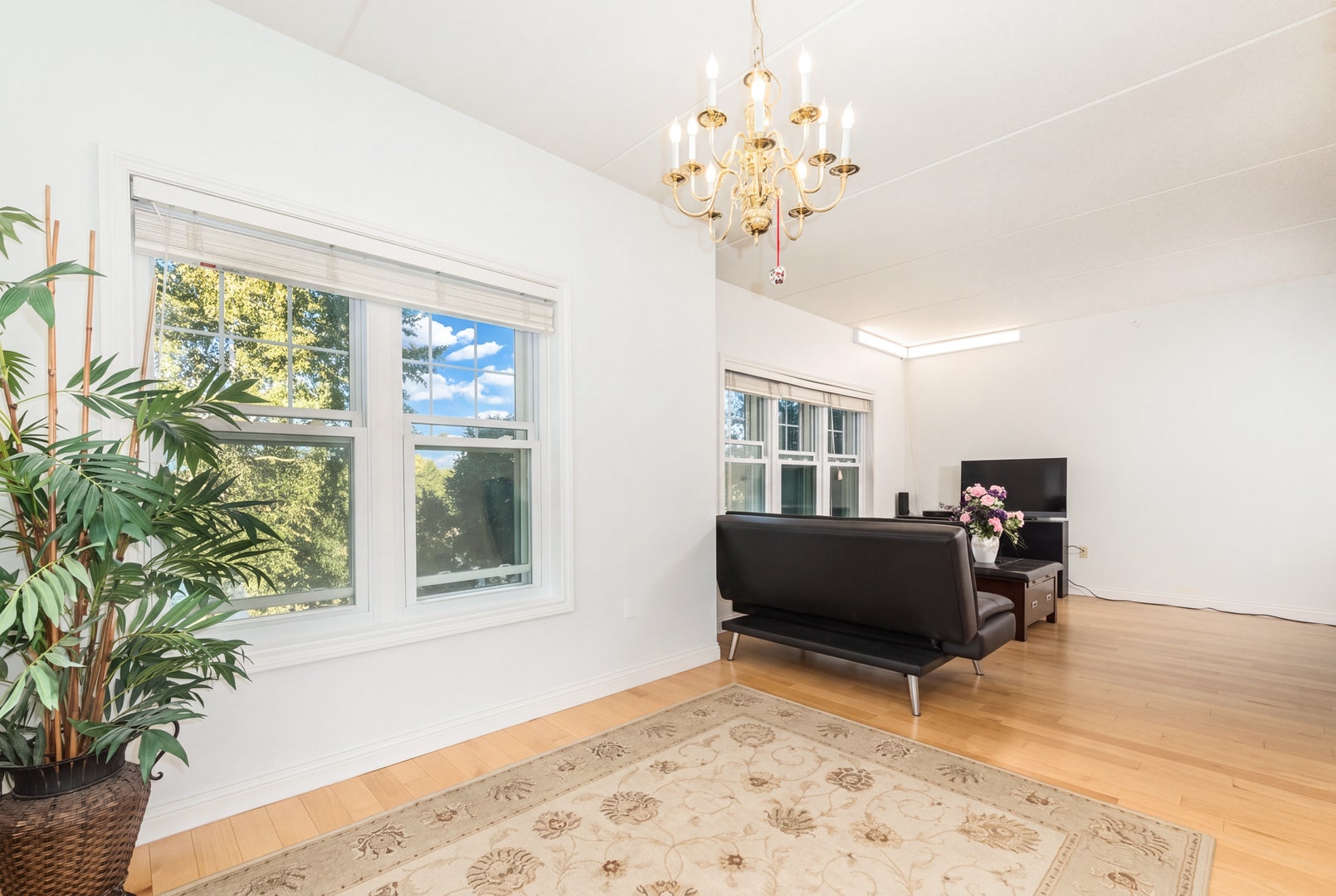 101 Pointe Drive, #103, Northbrook, IL 60062 101 Pointe Drive, #103, Northbrook, IL 60062