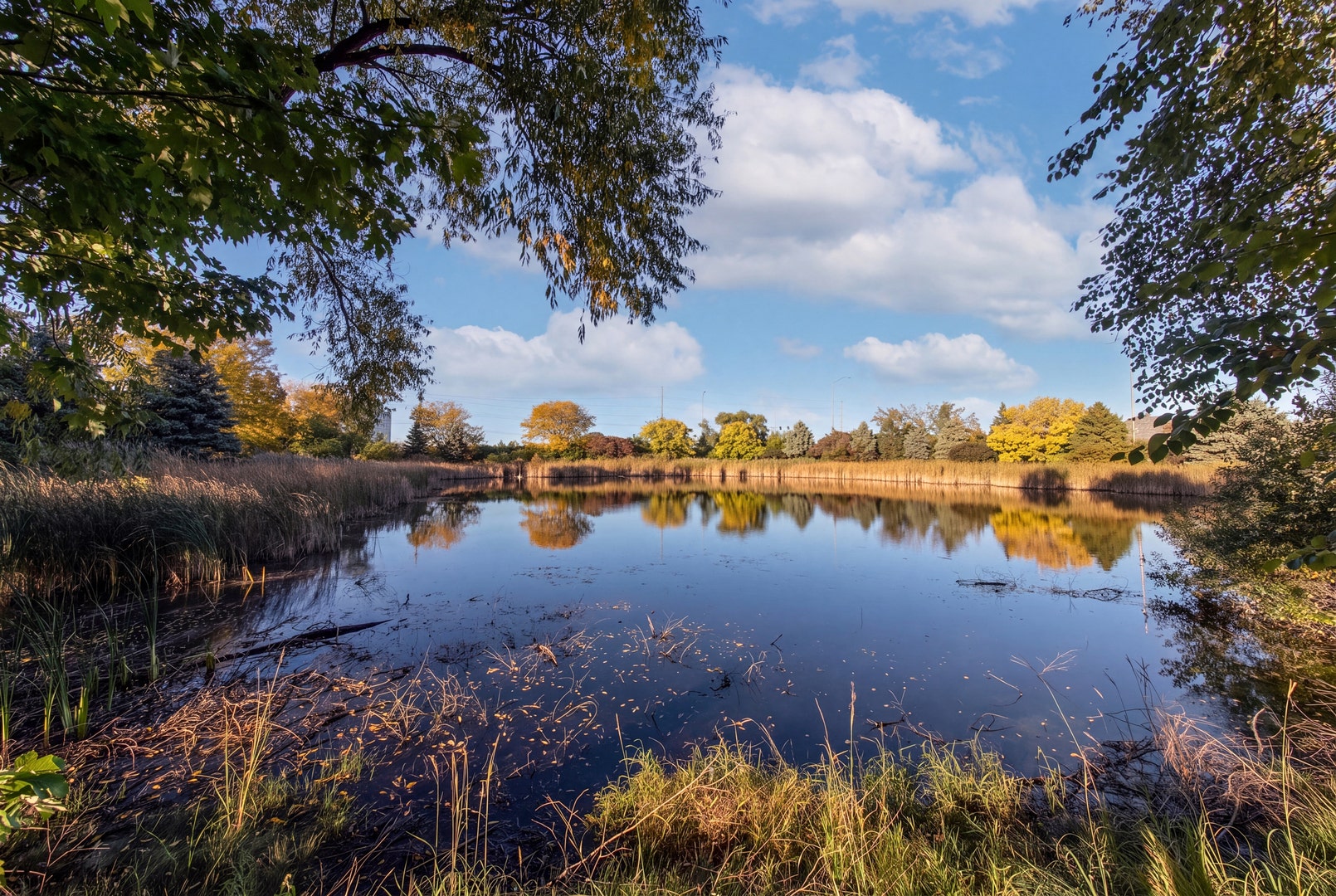 101 Pointe Drive, #103, Northbrook, IL 60062 101 Pointe Drive, #103, Northbrook, IL 60062