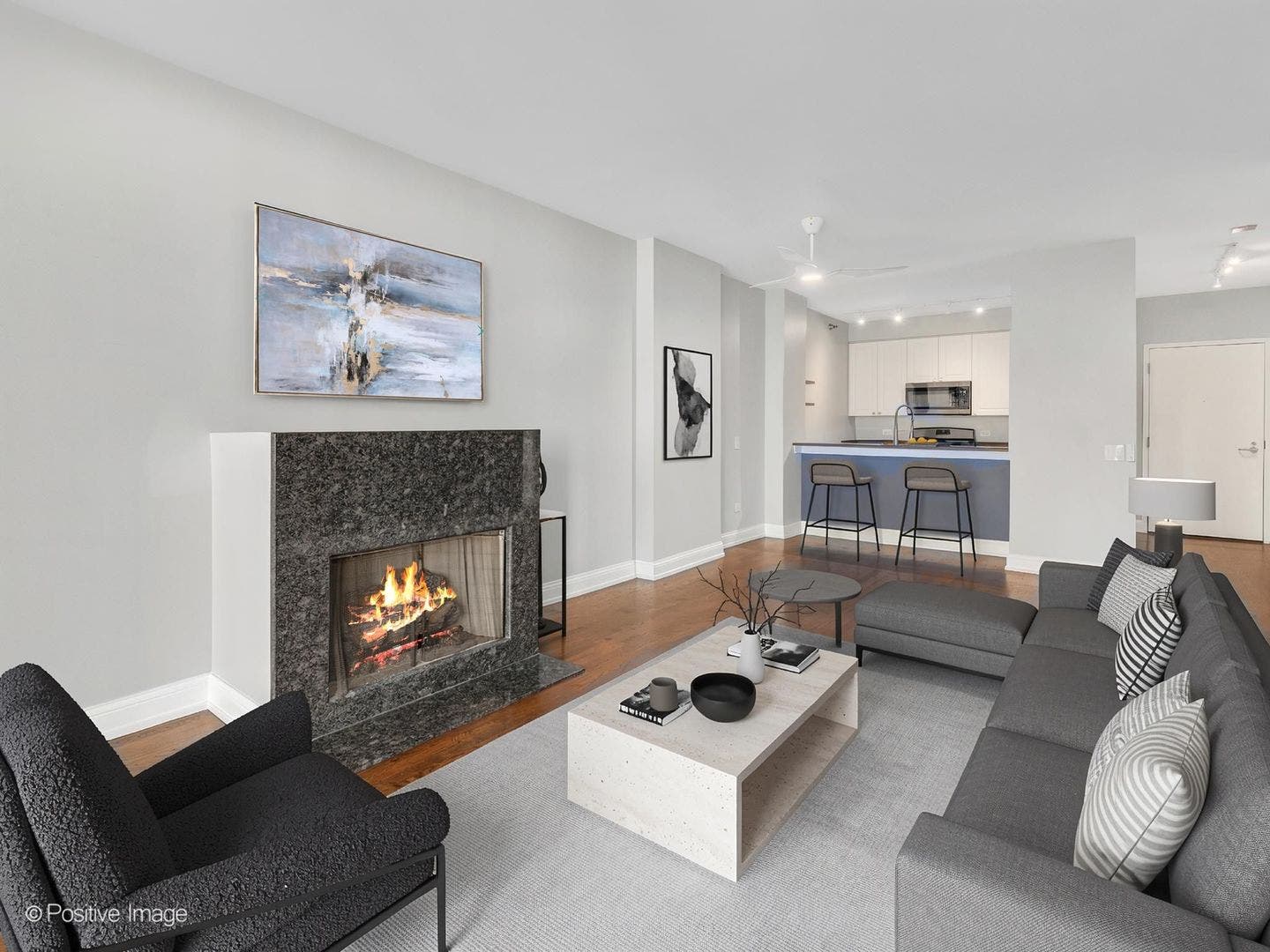 330 N Jefferson Street, #402, Chicago, IL 60661