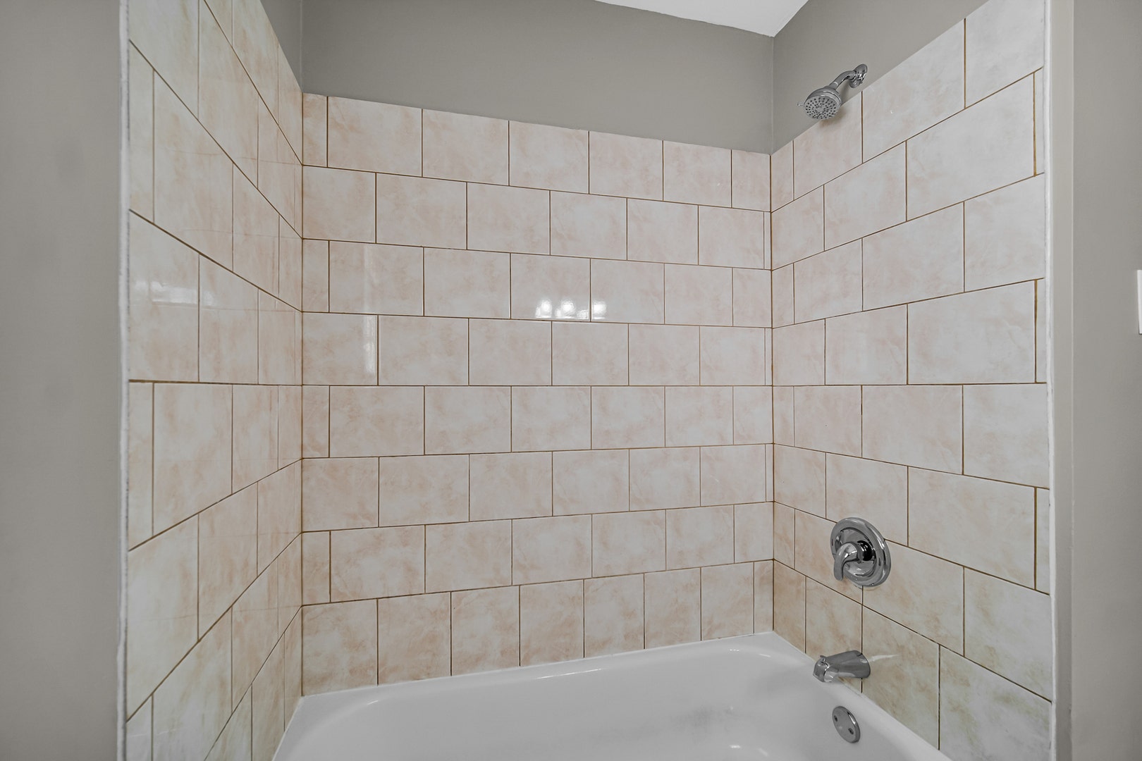 1007 Cedar Avenue, Elgin, IL 60120 1007 Cedar Avenue, Elgin, IL 60120