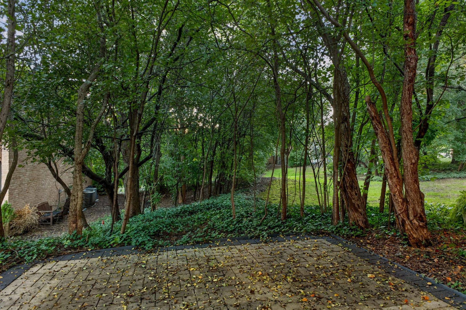 5931 Meadow Drive, #157A, Lisle, IL 60532