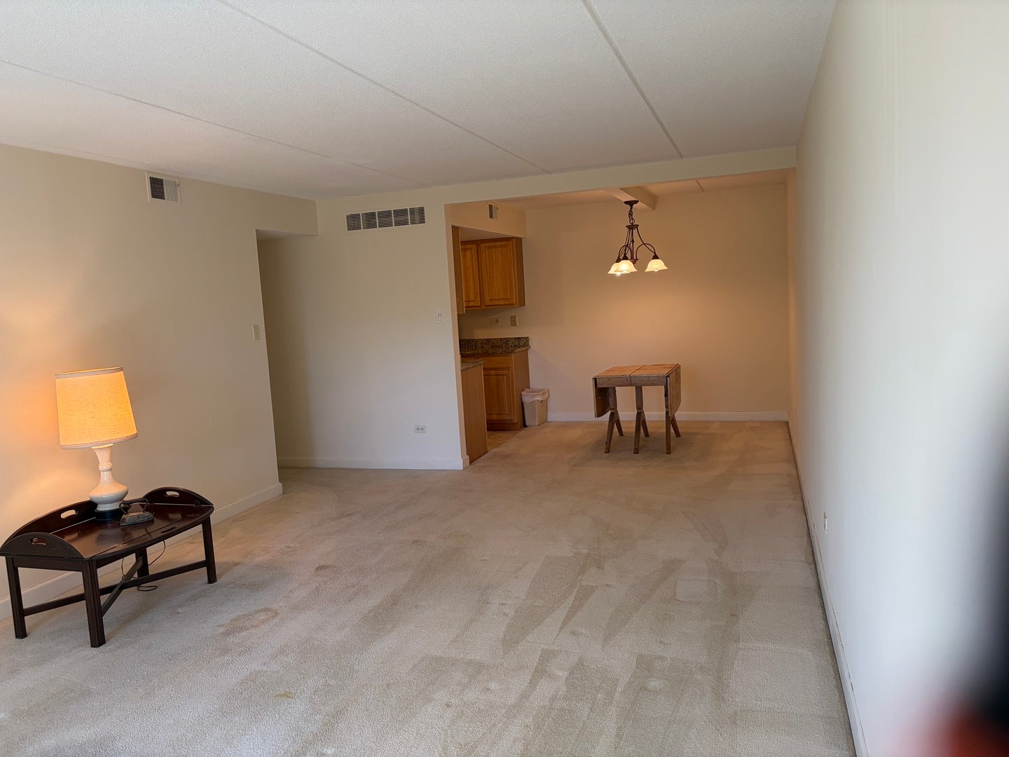 512 Redondo Drive, #411, Downers Grove, IL 60516