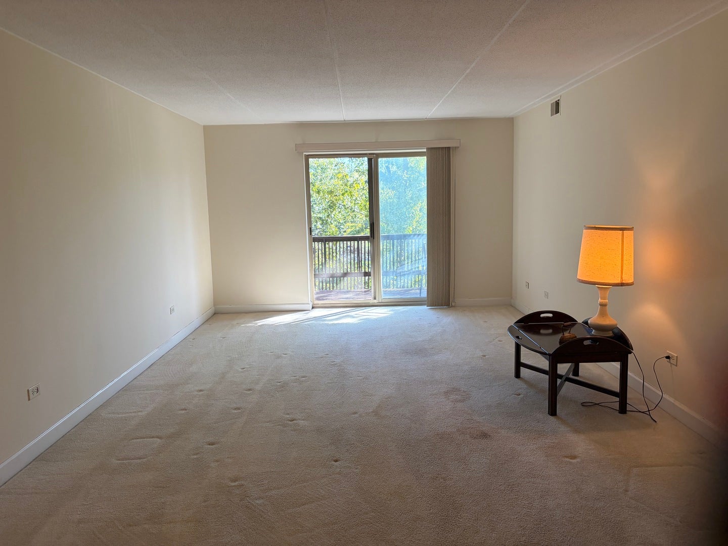 512 Redondo Drive, #411, Downers Grove, IL 60516