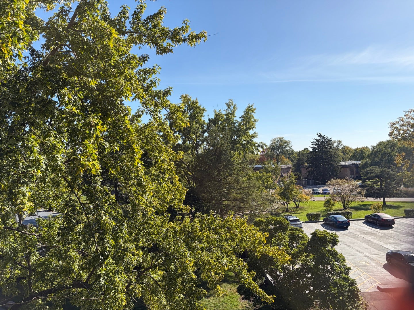 VIEWS OFF BALCONY