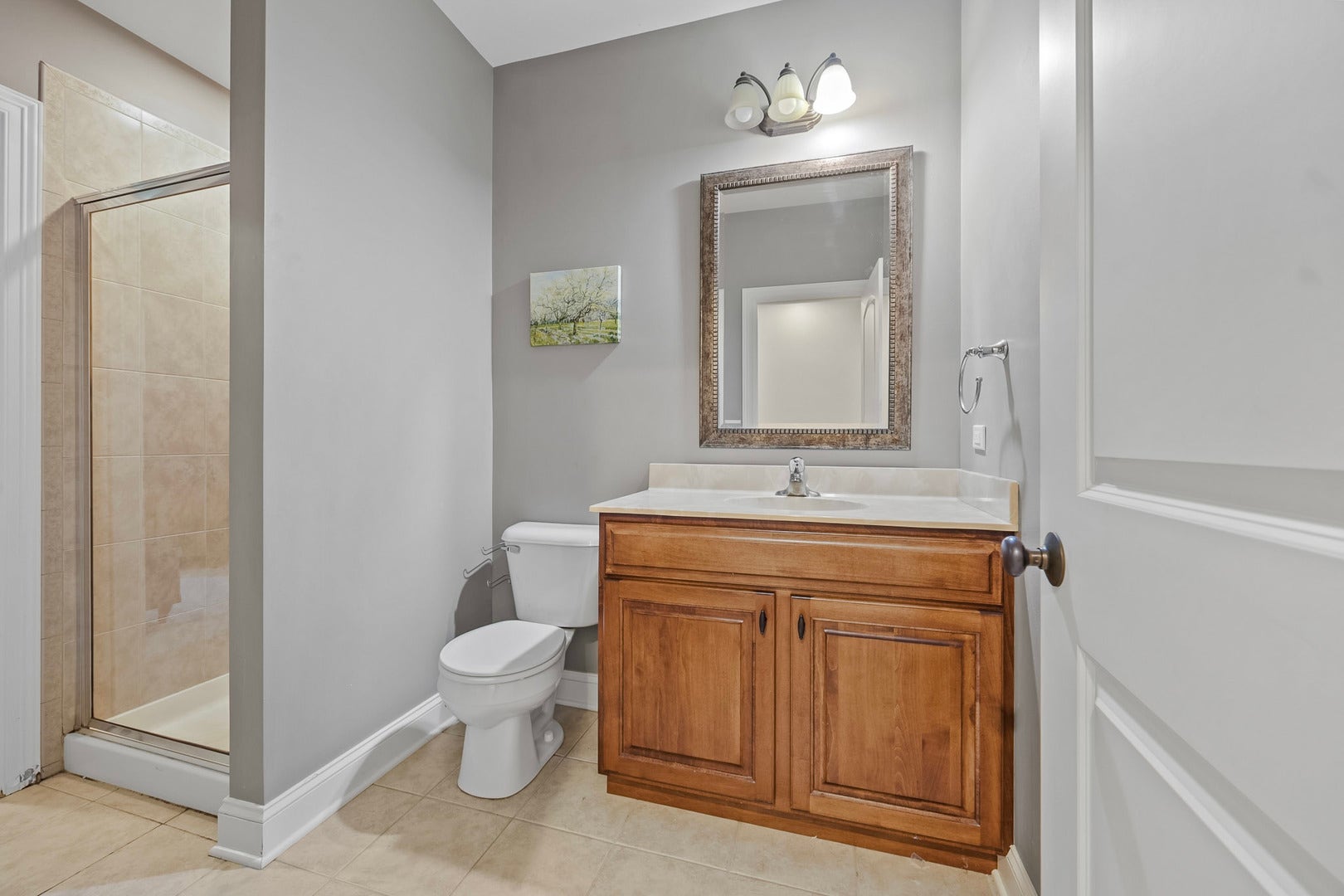 4767 Sassafras Lane, Naperville, IL 60564 Basement Bathroom