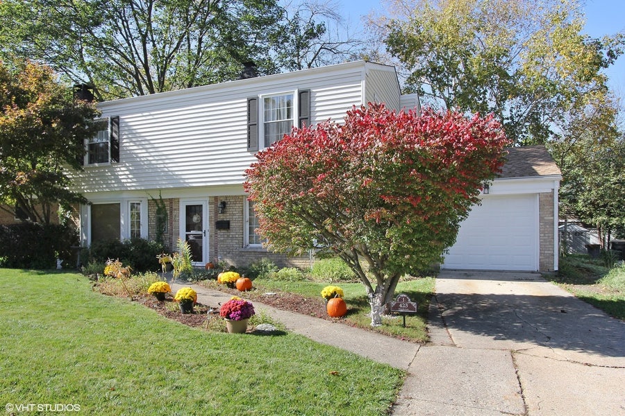 Property photo for 423 S 4th Avenue, Libertyville, IL