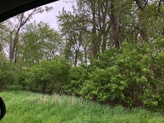 Property photo for lot36-39 S Dudley Grove Road, Kankakee, IL
