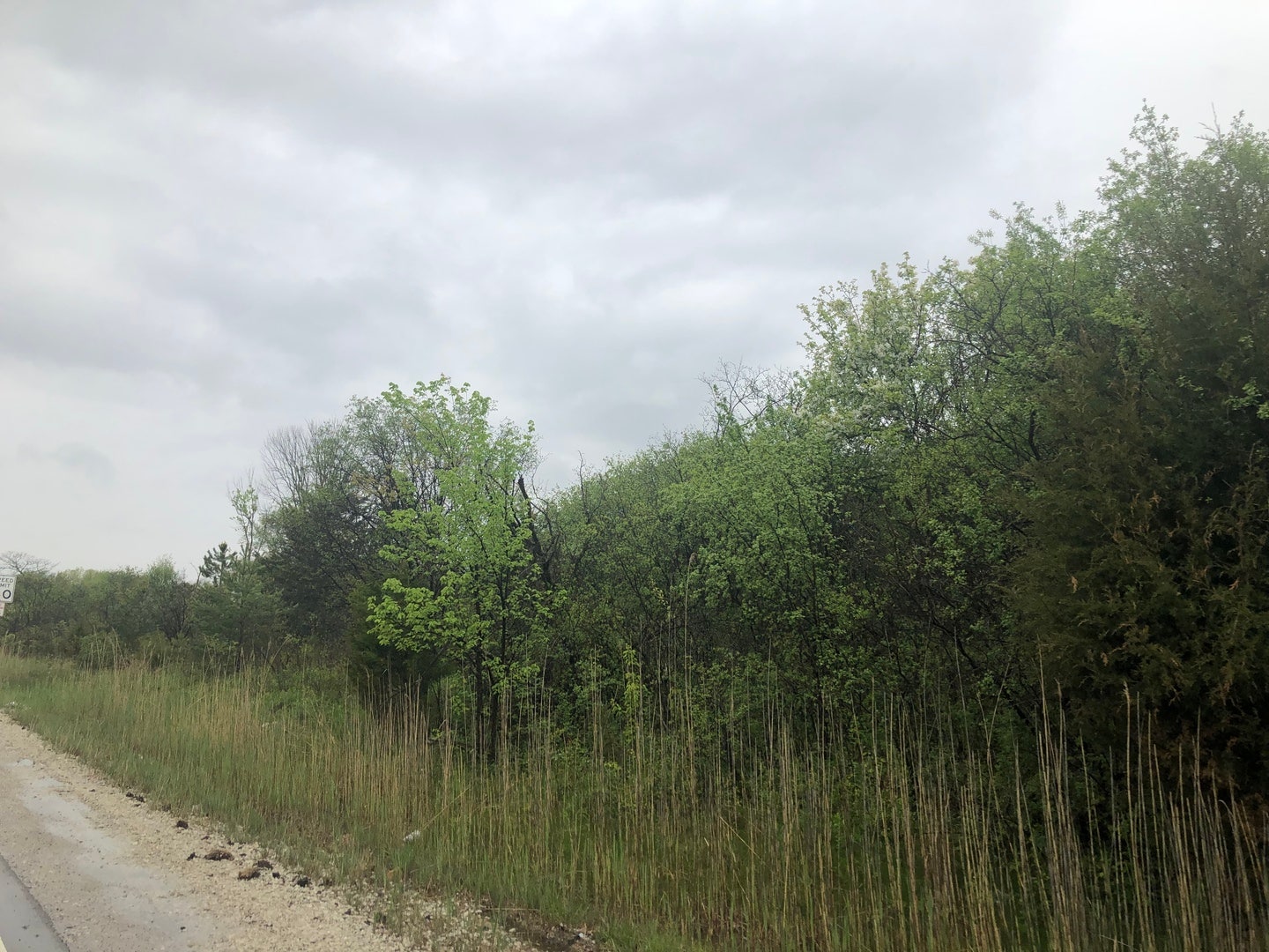 13815 McCarthy Road, Lemont, IL 60439