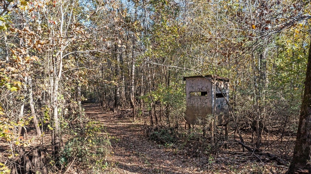 PARCEL #41258 Hwy 94, Lufkin, TX 75904