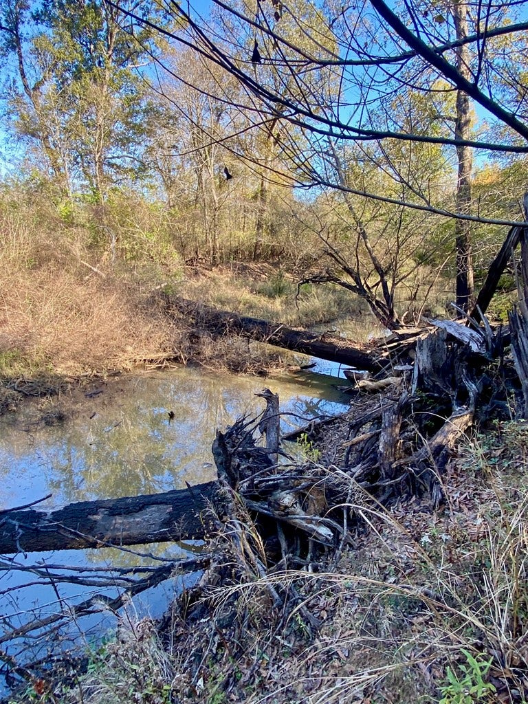 PARCEL #41258 Hwy 94, Lufkin, TX 75904
