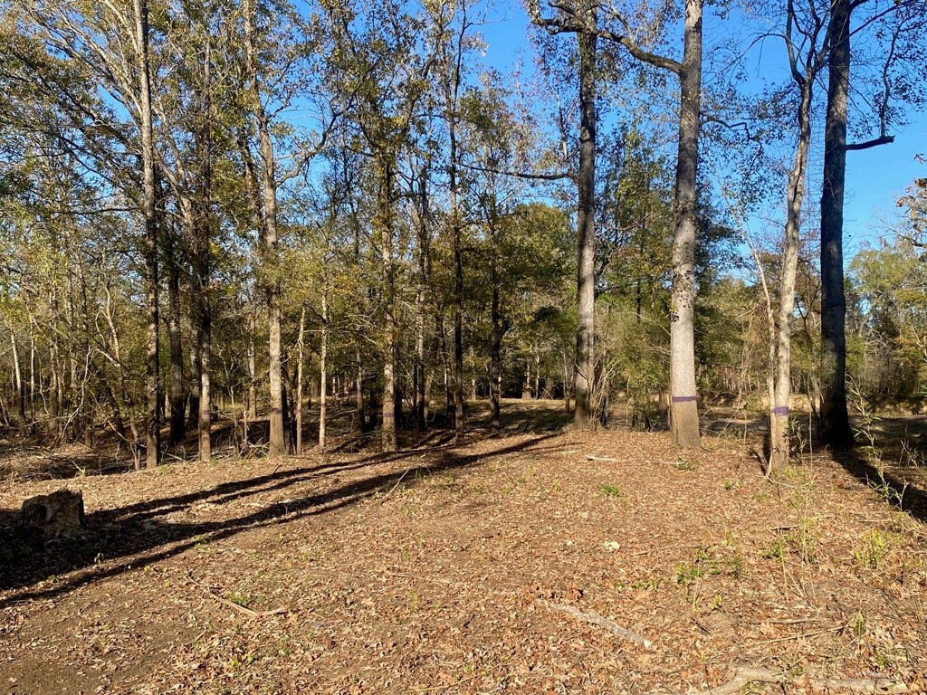 PARCEL #41258 Hwy 94, Lufkin, TX 75904