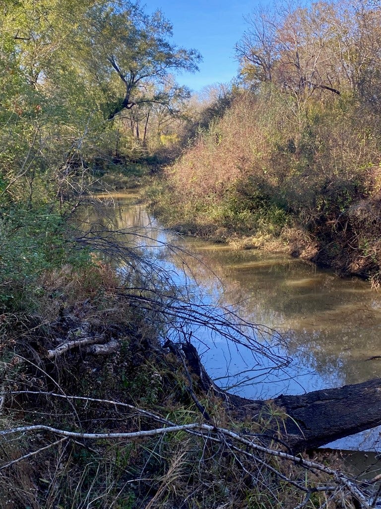 PARCEL #41258 Hwy 94, Lufkin, TX 75904